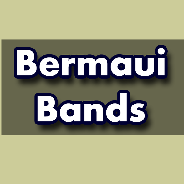 Berma Bands logo